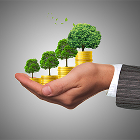 拍拍物联云摄影/照片直播面向全国招代理商啦